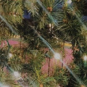 Meet your Posher, Ella